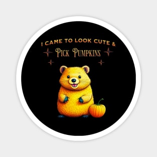 QUOKKA CUTE PICK PUMPKINS HALLOWEEN Magnet